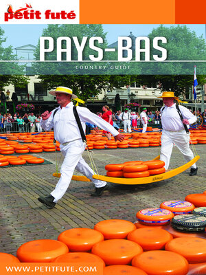 cover image of PAYS BAS 2019/2020 Petit Futé